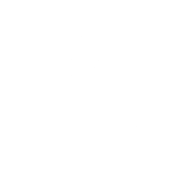 Tulips Australia