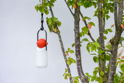 Guidelight & Hook Set